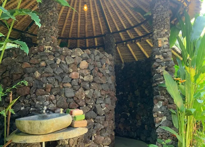 ベッド・アンド・ブレックファスト Swarma Eco Jungle Retreat 4*