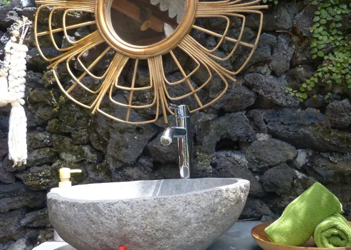 Swarma Eco Jungle Retreat
